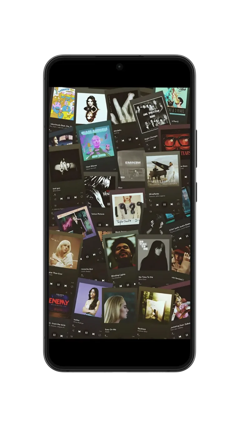 Music Albums & Playlists