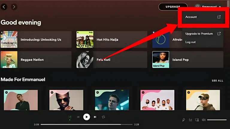 How To Disconnect A Spotify Account From Alexa Using Spotify  