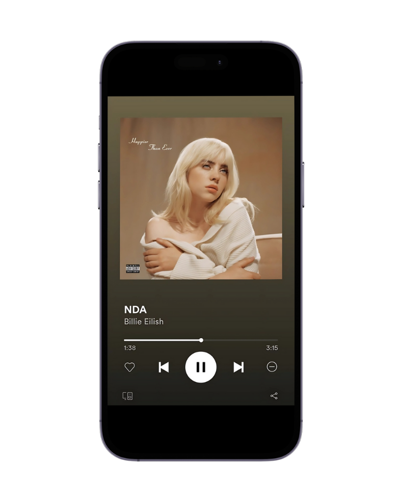 enjoy music in spotify