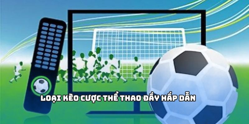 1GOM Nhà Cái Thể Thao Với Nền Tảng Đối Tác Hàng Đầu 2 Loại kèo cược thể thao đầy hấp dẫn