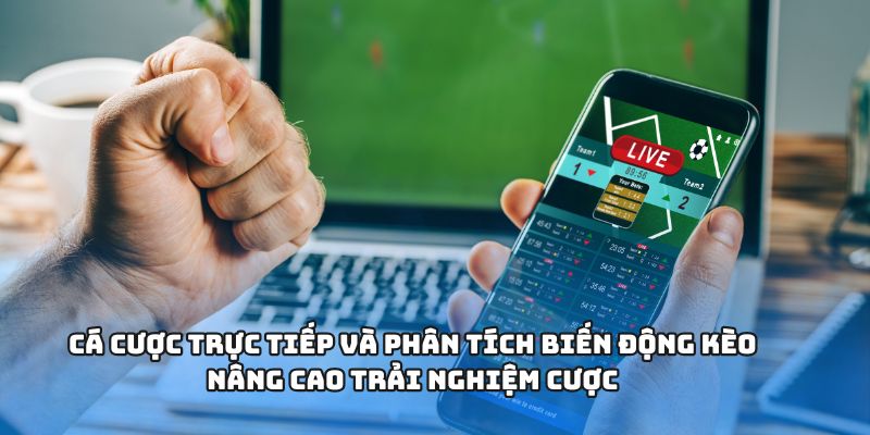 Cá cược trực tiếp và phân tích biến động kèo nâng cao trải nghiệm cược