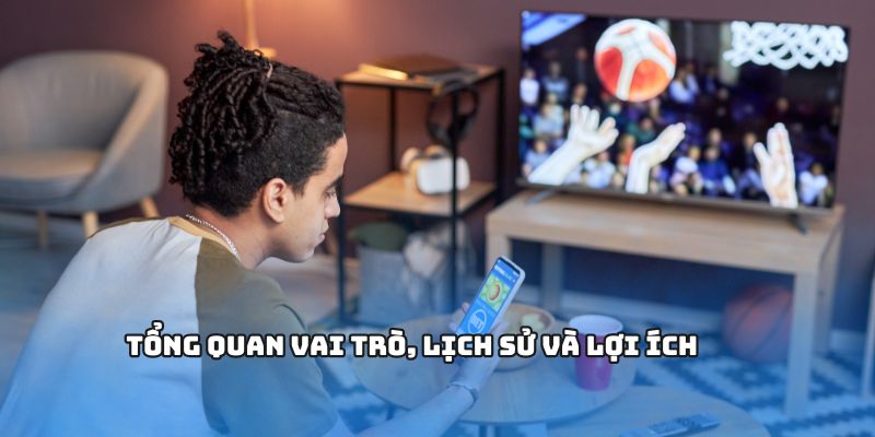 Tổng quan vai trò, lịch sử và lợi ích 