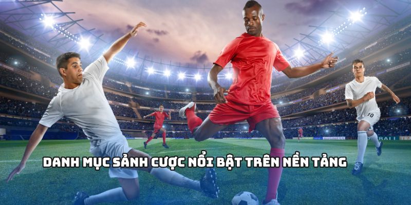 Danh mục sảnh cược nổi bật trên nền tảng