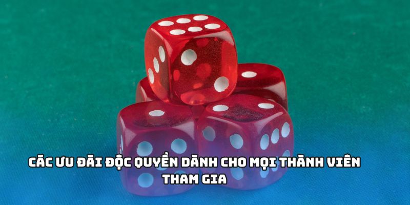 Các ưu đãi độc quyền dành cho mọi thành viên tham gia